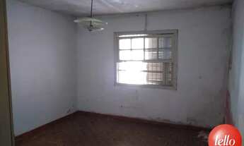 Imagem 2: São Paulo - Terreno Padrão - Tatuapé