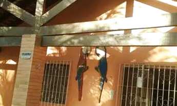 Imagem 5: Aluguel casa na orla de Mosqueiro