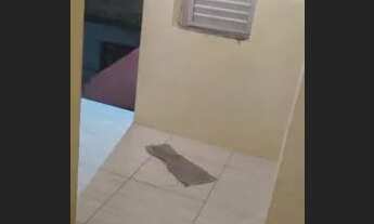 Imagem 2: Aluga-se uma casa na Pero vaz