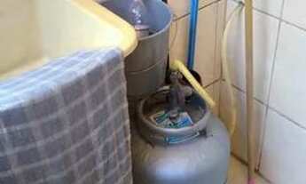 Imagem 7: AP 1 dorm, Aviacao, R$ 187 mil