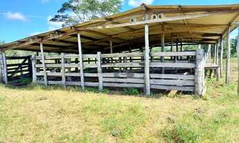 Imagem: Sensacional Sitio com 30 hec prox a fronteira