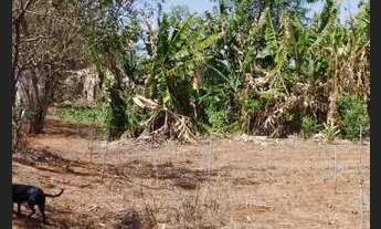 Imagem 7: Sítio com 22.800m2 em Bady Bassitt