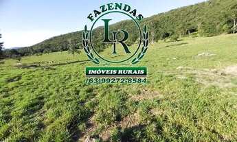 Imagem 7: Fazenda / chácara 21,8 Alqueires Próximo a Palmas-To