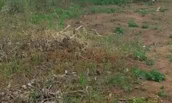 Imagem 5: Vendo terreno 1500 MT quadrado (passa de meia tarefa