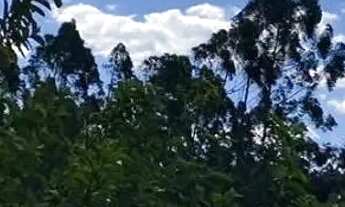 Imagem 4: Chácara em taquara