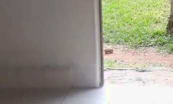 Imagem 3: 2 peças com banheiro valor 400 reais