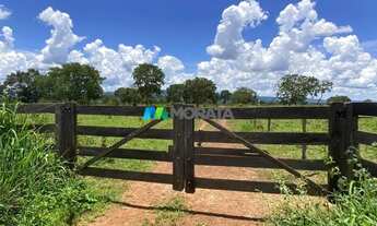 Imagem 4: FAZENDA À VENDA - 190 HECTARES - BURITIS (MG