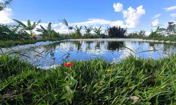 Imagem 4: Linda chácara escriturada