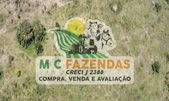 Imagem 4: Fazenda às Margens da BR 101 em Alagoinhas-BA