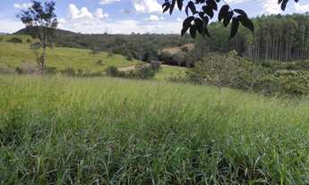 Imagem 3: Vendo Chácara em Alexania 20 mil metros com mina d?água