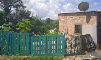 Imagem 3: Terreno no bairro Novo Aleixo