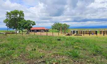 Imagem 4: Fazenda à venda 500 alqueires em Baliza-Go