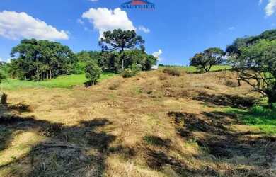 Imagem 3: Terreno Centro Carlos Barbosa