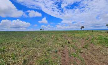 Imagem 2: Fazenda à venda 500 alqueires em Baliza-Go