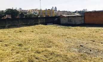 Imagem 3: Terreno para alugar, 2166 m² - Paulicéia - São Bernardo do Campo/SP