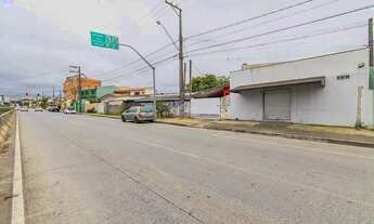 Imagem: Vendas Casa Curitiba PR