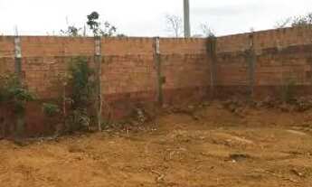 Imagem: Lote no Renascença