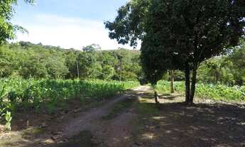 Imagem: Chácara Na zona Rural do Girassol Goiás
