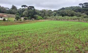 Imagem 6: Chácara 7.500m Chácara com venda por R$400.000