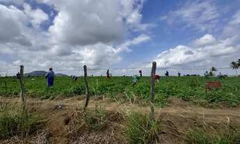 Imagem 3: Chácara Para venda com estrutura para aluguel e bem completa