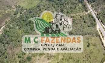 Imagem 3: Fazenda às Margens da BR 101 em Alagoinhas-BA
