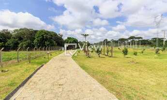 Imagem 2: EXCELENTE CHÁCARA COM CASA MOBILIADA NA COLÔNIA MURICI EM SÃO JOSÉ DOS PINHAIS