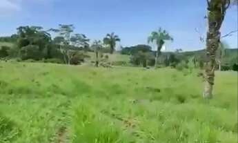 Imagem 5: Fazenda de 152 alqueires em Nova Crixas-GO