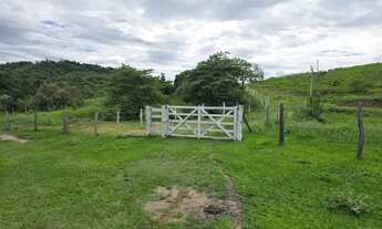Imagem 2: Sitio 12,4 alqueires Região de São Pedro SP