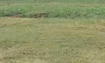 Imagem 3: Terreno em Condomínio, 720m², à venda em Araçoiaba da Serra, Condomínio Residencial Eviden