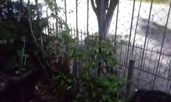 Imagem 4: Apartamento em Rua Godofredo Viana - Taquara - Rio de Janeiro/RJ