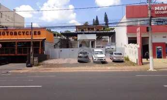 Imagem 3: Terreno à venda e para alugar em Campinas, Cambuí, com 503 m²