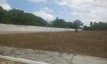 Imagem 6: Banana Residencial Condomínio