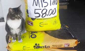 Imagem 4: Passa o ponto de casa de ração