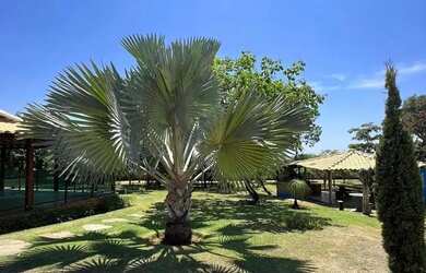 Imagem 6: Imóvel para venda tem 340 metros quadrados com 3 quartos em Funilândia - Funilândia - MG