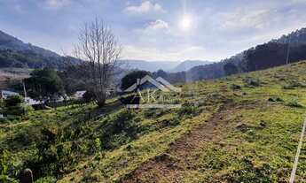 Imagem 2: Terreno em declive e arborizado em Picada Café, na Serra Gaúcha