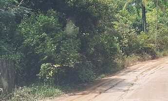 Imagem 4: Vendo excelente sitio em Valença