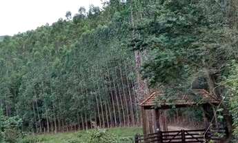 Imagem 7: Área à venda, 1216517 m² por R$ 5.200.000,00 - São Luis - Jacutinga/MG