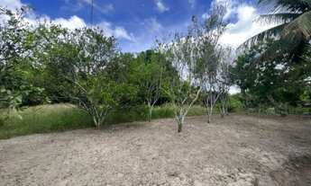 Imagem 6: Vendo granja Perto Mata Redonda com rio dentro