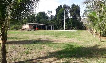 Imagem 2: Chácara com 1 dormitório à venda, 2960 m² por R$ 70.000,00 - Zona Rural - Iranduba/AM