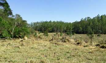 Imagem 3: Fazenda à venda, 1100000 m² por R$ 2.500.000,00 - Centro - Argirita/MG