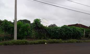 Imagem 3: Sertãozinho - Lote/Terreno - Alvorada