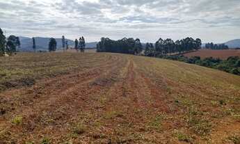 Imagem: Lote/Terreno para venda tem 100 metros quadrados