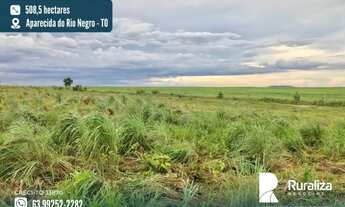 Imagem: Ótima oportunidade de fazenda para agricultura