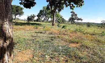 Imagem 7: Fazendinhas 20000 com estrutura e pertinho de você