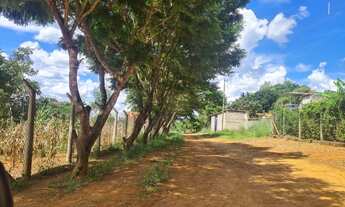 Imagem 4: Essa é pra você que sonha em ter uma chácara