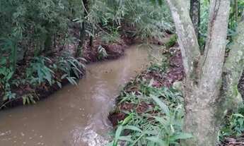 Imagem 2: Chácara Monte Alegre 3,5 ALQUEIRE