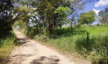 Imagem 7: Fazenda Fazendinha 19 Hectares, 16 Hectares. FLORESTA MG
