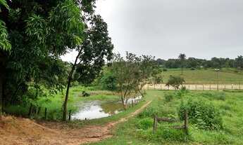 Imagem 5: Área com 35.000 m² - Estância do Sereno PTB - Betim - MG