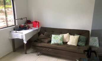 Imagem 6: Betim - Chácara - Flores E Florestas