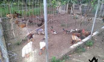 Imagem 3: Chácara a venda em Cocalzinho Condomínio Parque das Águas com area de lazer...